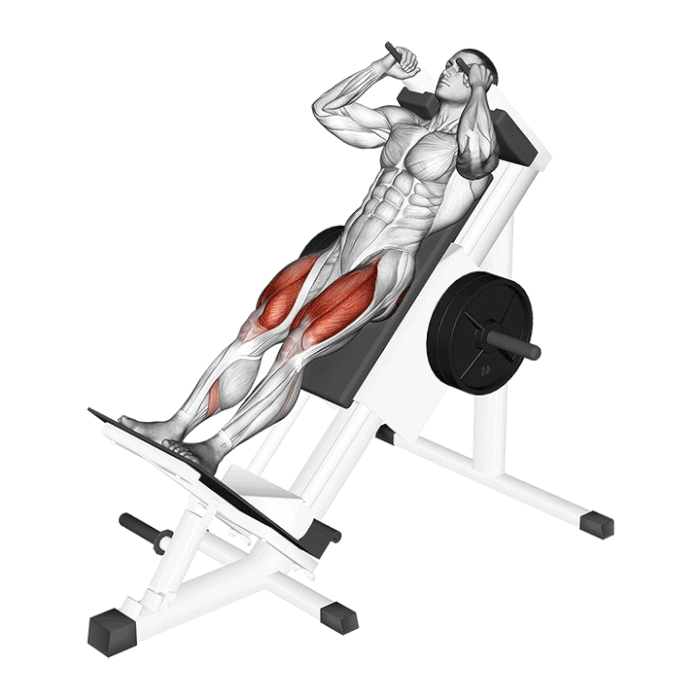 Hack squat