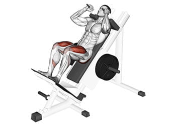 Hack squat