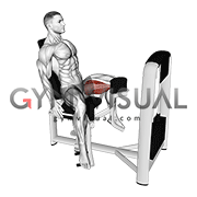 Hip adduction