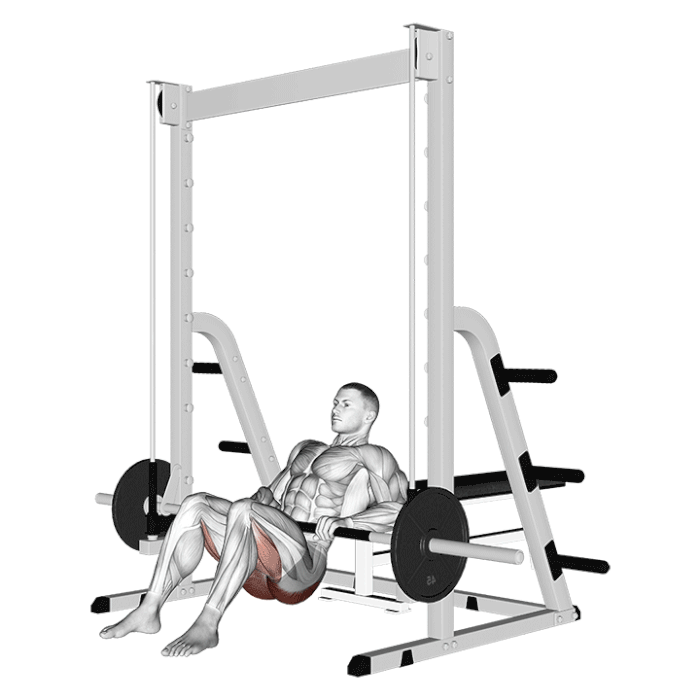 Hip thrust