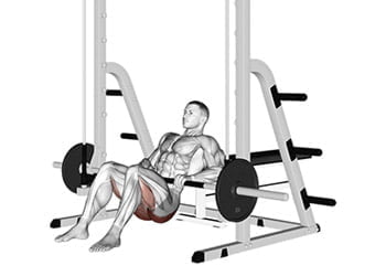 Hip thrust