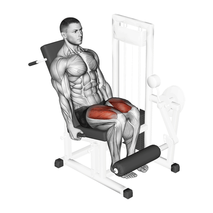 Leg extension