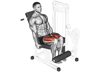 Leg extension