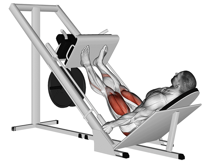 Leg press