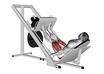 Leg press