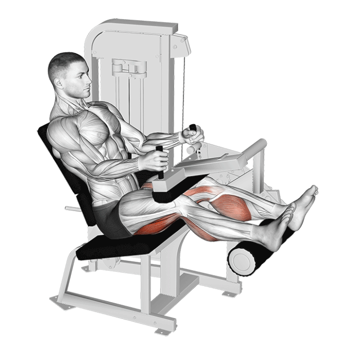 Seated leg curl